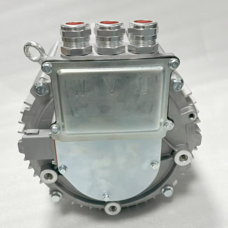 PMSM Rated 20kw Peak 45kw Peak - Ev Electric Motor Conversion Kit Car recension och pris